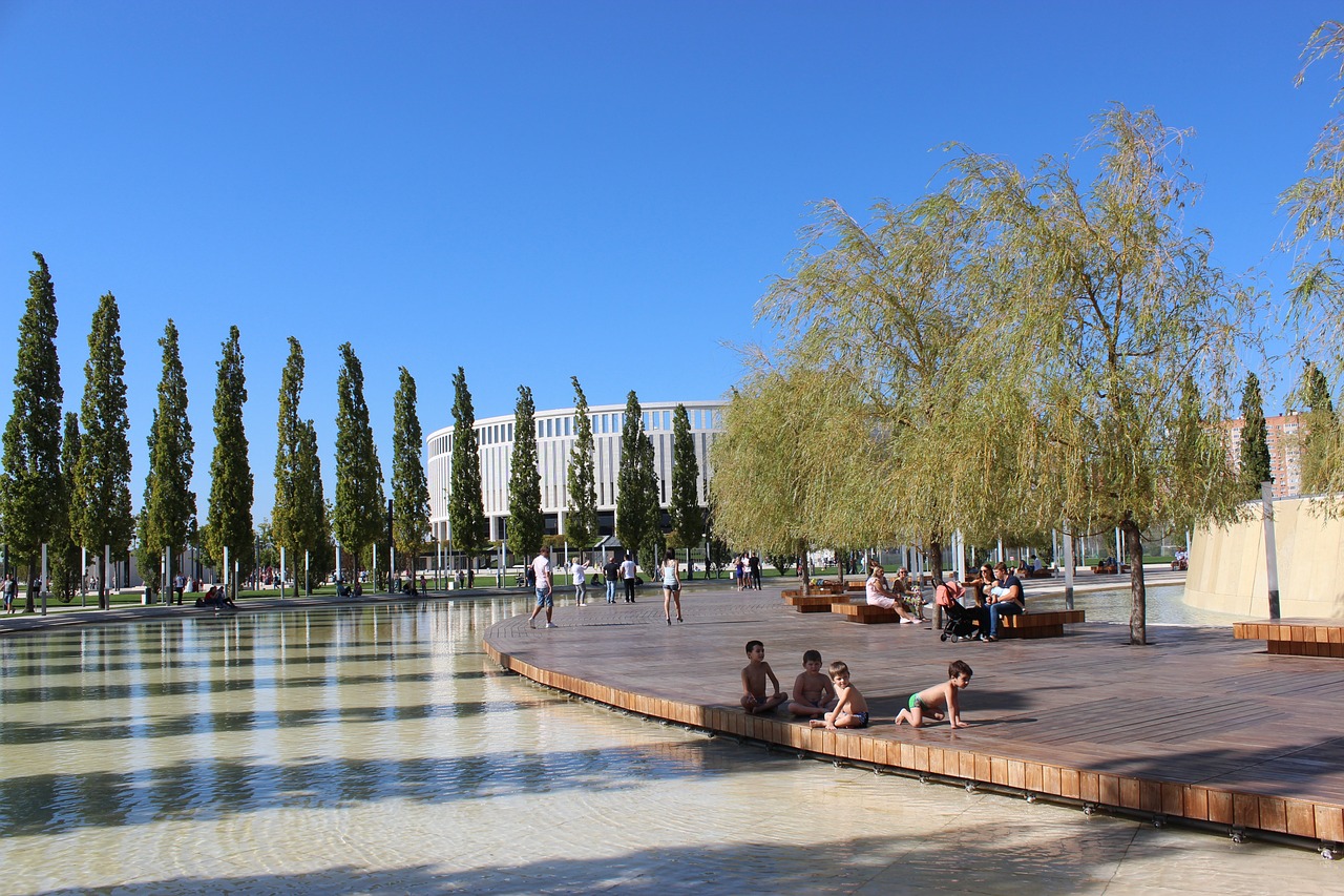 球队和球员 球队和球员