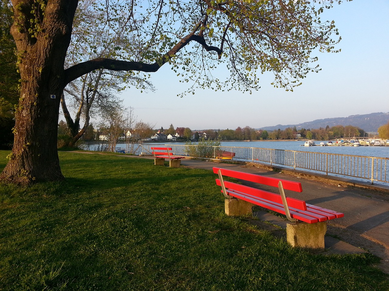 比赛中发挥 比赛中发挥