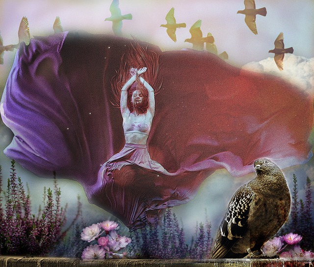 在这场精彩 在这场精彩