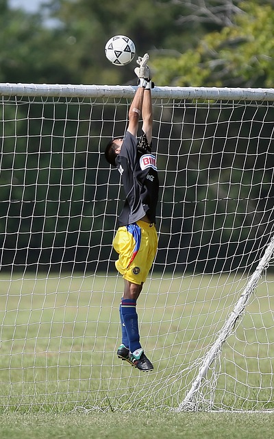 使得乌克兰 使得乌克兰