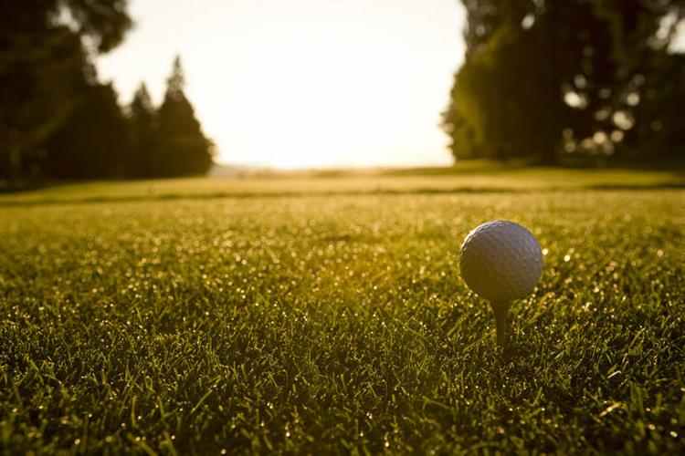 团队核心 团队核心